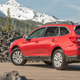 Image for article titled Subaru Is Crushing It Thanks To Making Everyone Fall In Love With Subaru